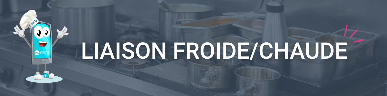 liaison chaude et froide logiciel haccp